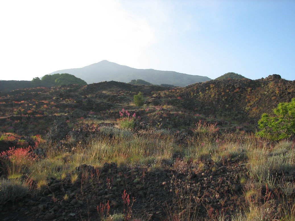 Sull''Etna al tramonto